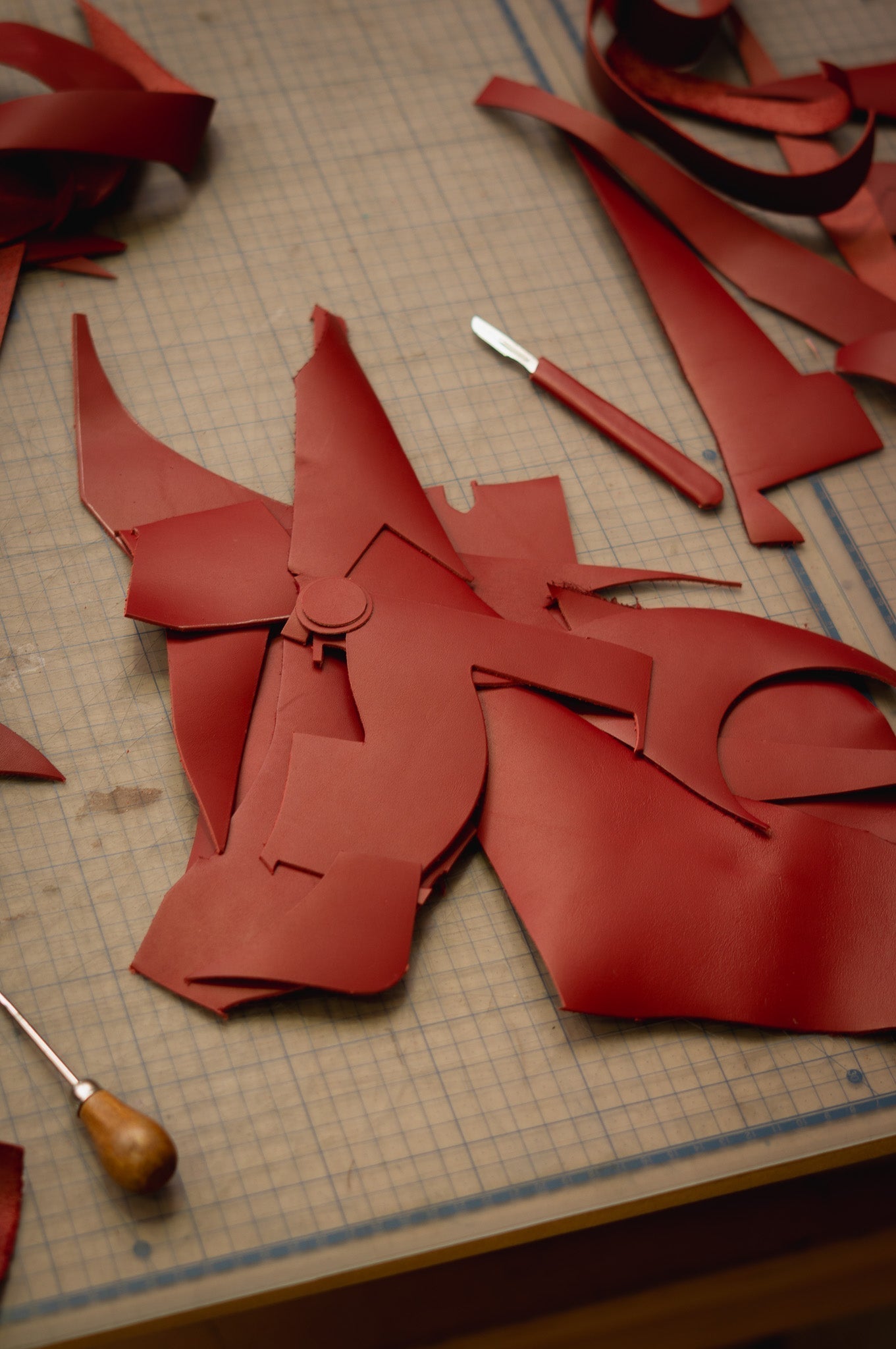 The Fire horse, a colt following